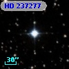 HD 237277