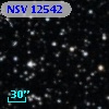 NSV 12542