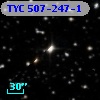 TYC  507-247-1