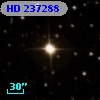 HD 237288