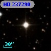 HD 237290