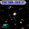 TYC  509-169-1