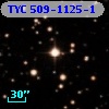 TYC  509-1125-1