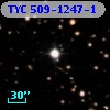 TYC  509-1247-1