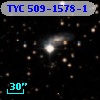 TYC  509-1578-1