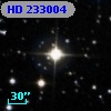 HD 233004