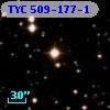 TYC  509-177-1