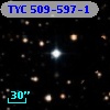 TYC  509-597-1