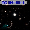 TYC  509-953-1