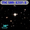 TYC  509-1217-1
