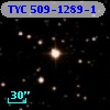 TYC  509-1289-1