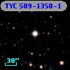 TYC  509-1350-1