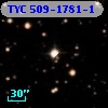TYC  509-1781-1