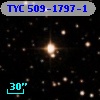 TYC  509-1797-1