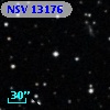 NSV 13176