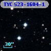 TYC  523-1604-1