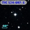 TYC  524-607-1