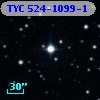 TYC  524-1099-1
