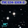 TYC  524-1319-1
