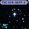 TYC  524-1677-1