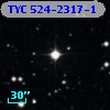 TYC  524-2317-1