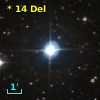 *  14 Del