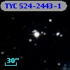 TYC  524-2443-1