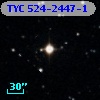 TYC  524-2447-1