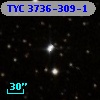 TYC 3736-309-1