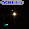 TYC  919-44-1