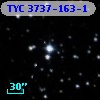 TYC 3737-163-1