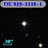 TYC  919-1118-1