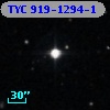 TYC  919-1294-1