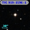 TYC  919-1596-1