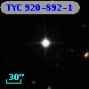 TYC  920-892-1