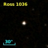 Ross 1036