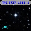 TYC 3737-1313-1