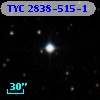 TYC 2838-515-1