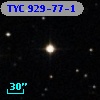 TYC  929-77-1