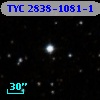 TYC 2838-1081-1