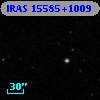 IRAS 15585+1009