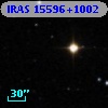 IRAS 15596+1002