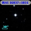 IRAS 16037+1031
