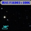 IRAS F16003+1006