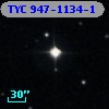 TYC  947-1134-1