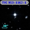 TYC  953-1162-1