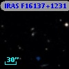 IRAS F16137+1231