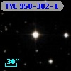 TYC  950-302-1