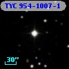 TYC  954-1007-1