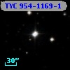 TYC  954-1169-1
